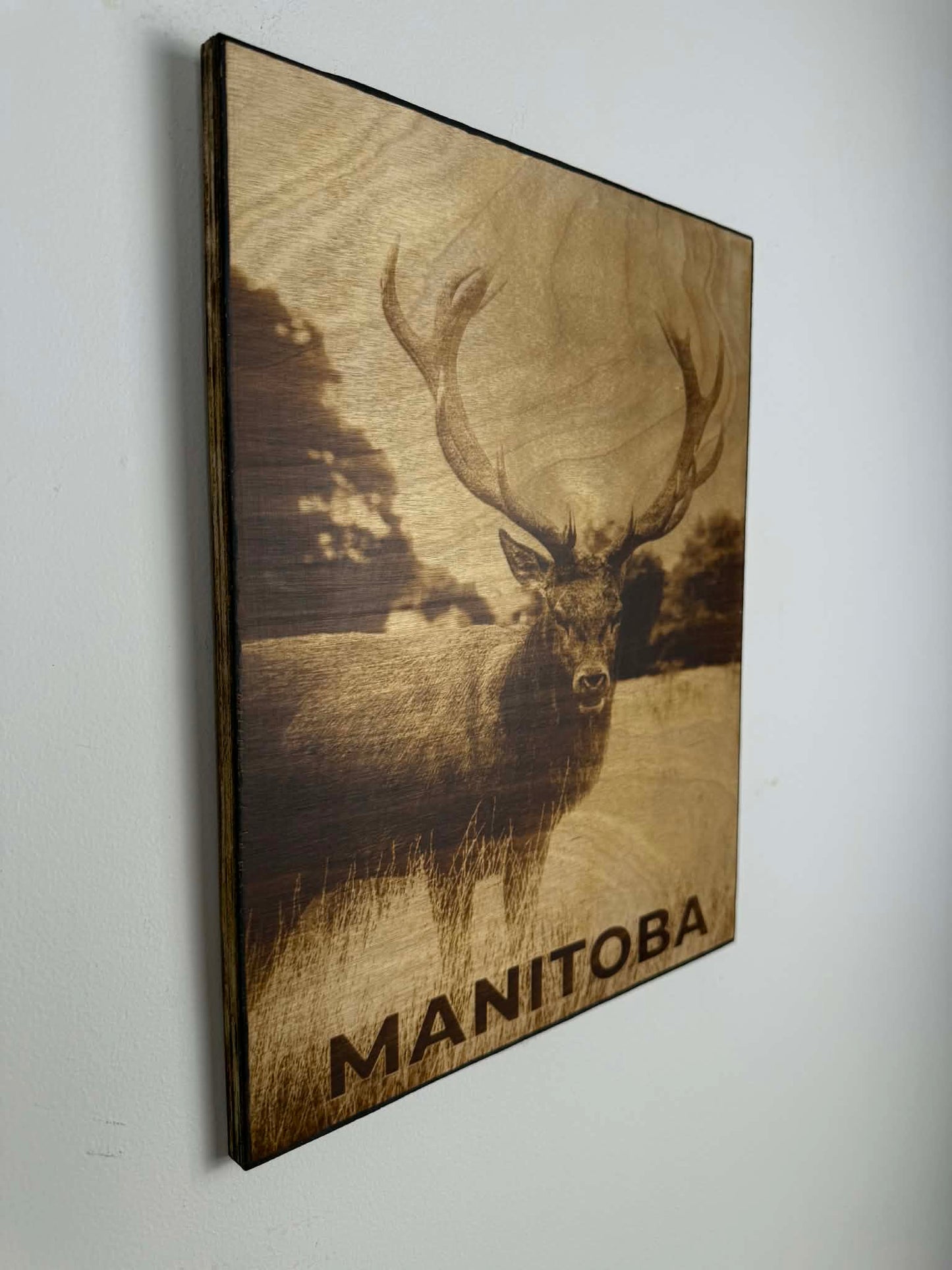 Manitoba Deer — Wood Burned Wall Art on Birch Plywood