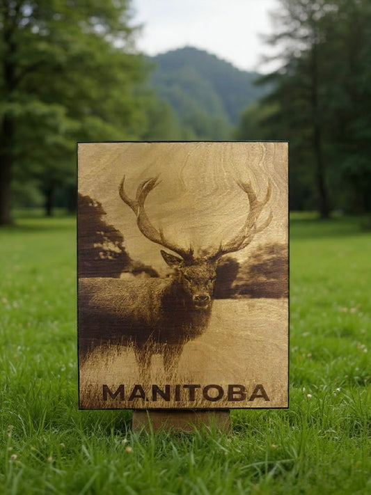 Manitoba Deer — Wood Burned Wall Art on Birch Plywood