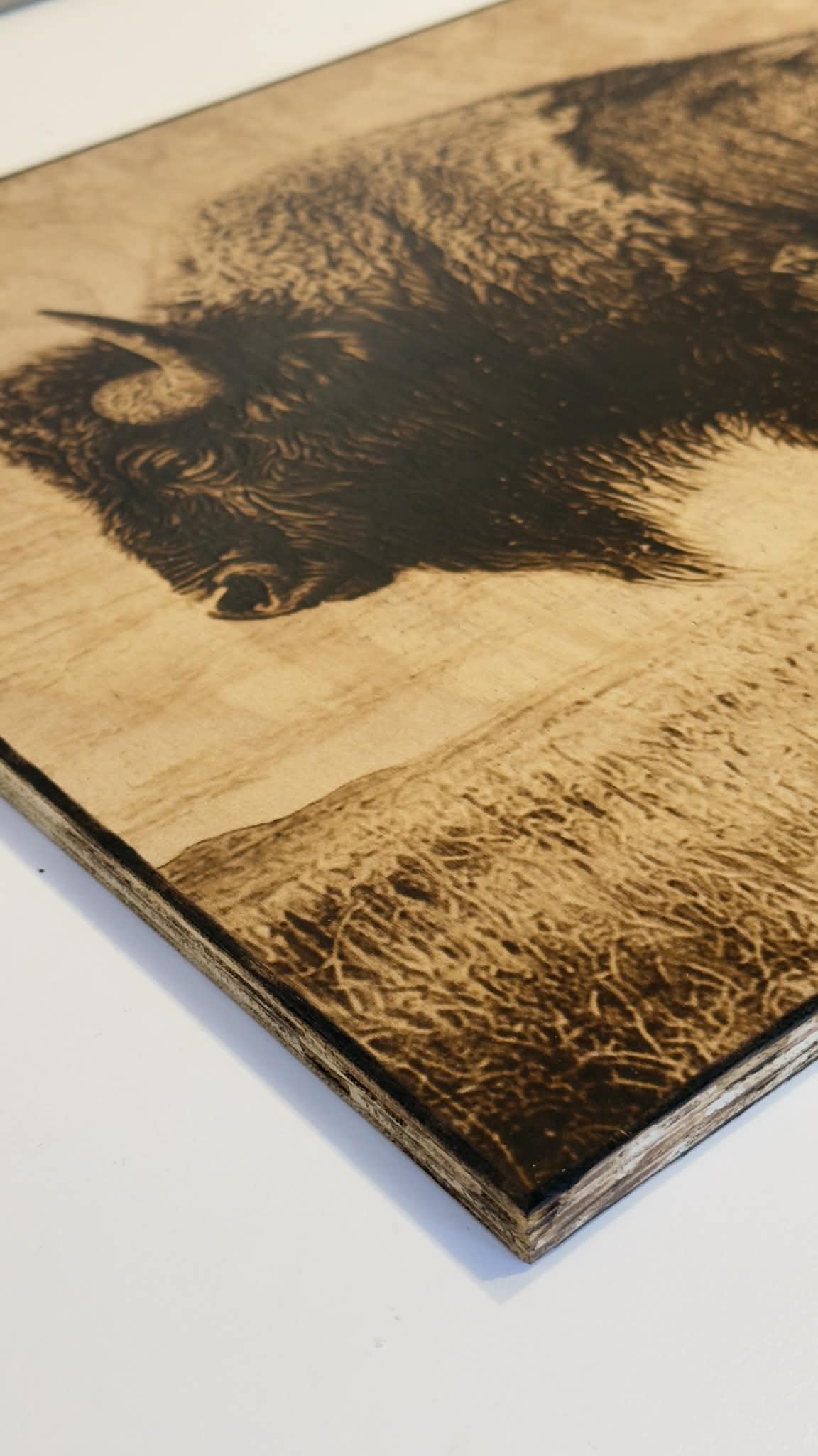 Bison 100% Wood-Burning Artwork