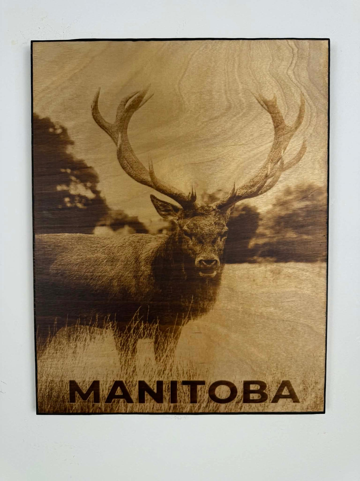 Manitoba Deer — Wood Burned Wall Art on Birch Plywood