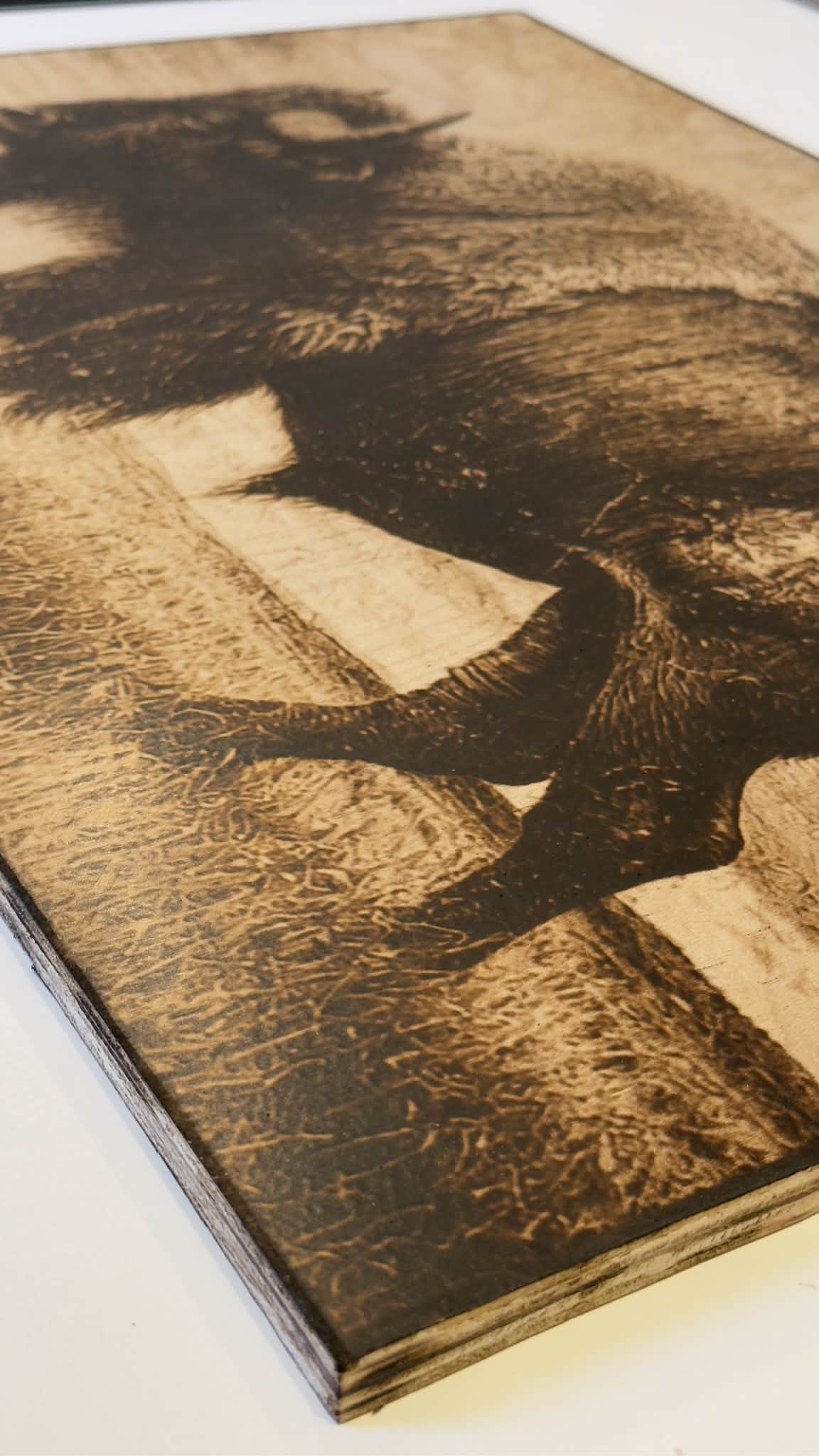 Bison 100% Wood-Burning Artwork